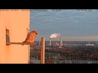 zur Webcam Berlin - Corbusierhaus Falkencam