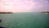 zur Webcam Florida Key West - Pier House