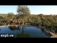 zur Webcam Kenia - Africam Rosie´s Pan