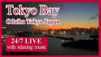 Webcam Tokio Bay laden