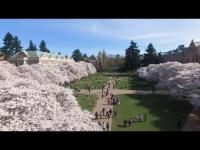 Webcam Seattle - University of Washington laden