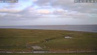 Webcam Hallig Langeneß - Neuwarft laden